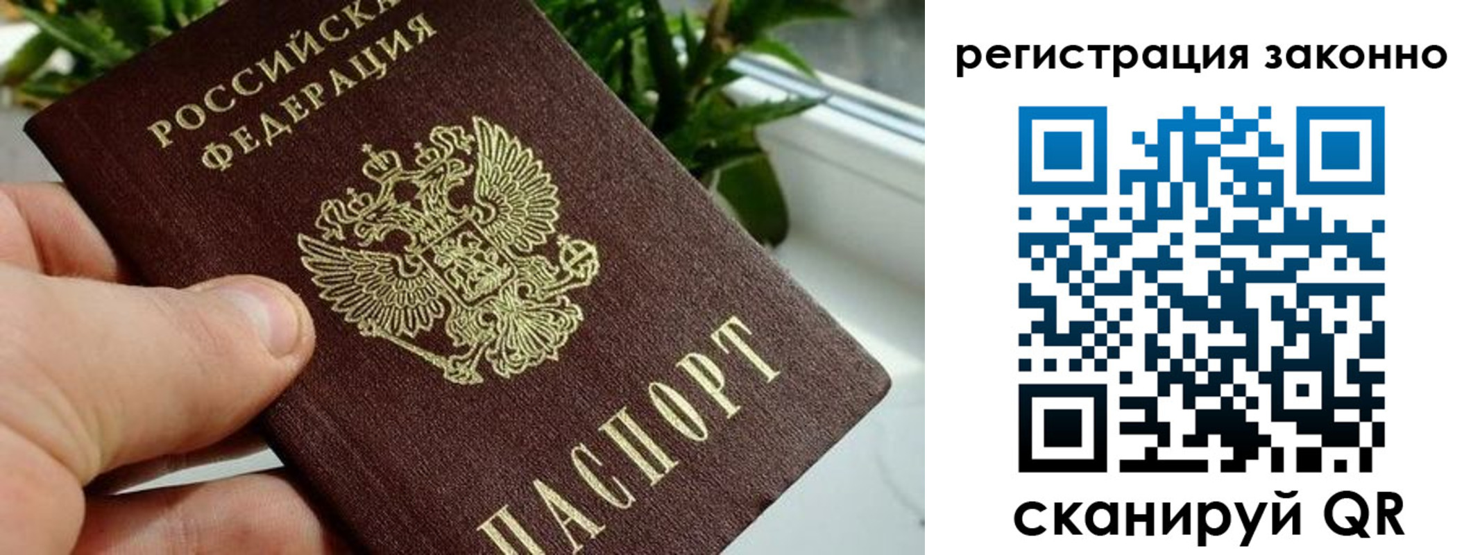 прописка гарантия в Орехово-Зуево